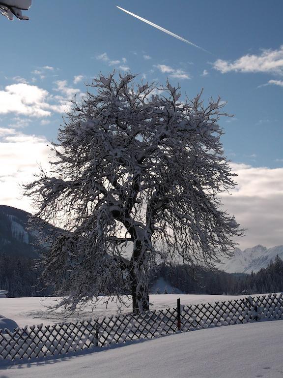 Anno Tyrol Villa Biberwier Buitenkant foto